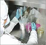 ¡Nuestra(s) tienda(s)!